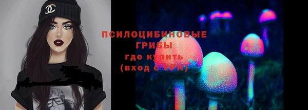 мдпв Волоколамск