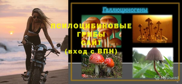 мдпв Волоколамск
