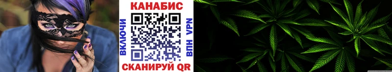 купить наркотики цена  Элиста  Бошки Шишки конопля 
